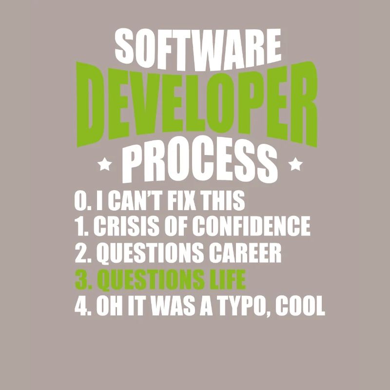 software developer