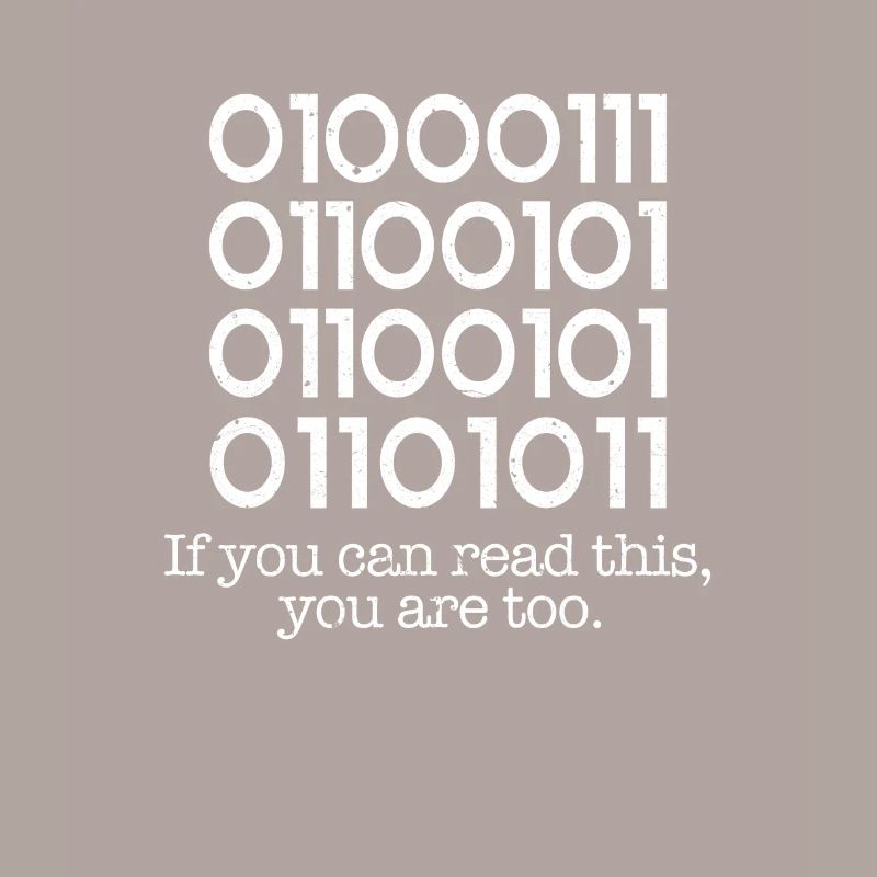 programmer