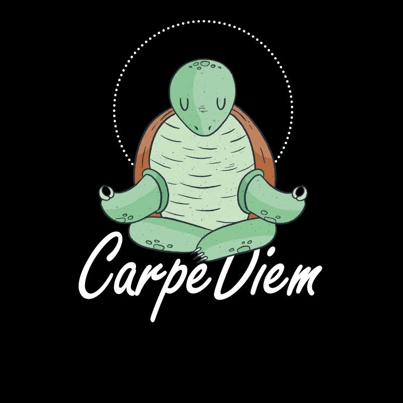 Carpe Diem Nutze Den Tag Schildkröte Meditation