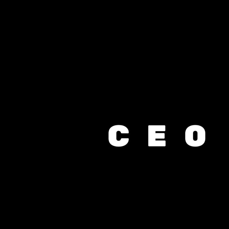 Mr CEO