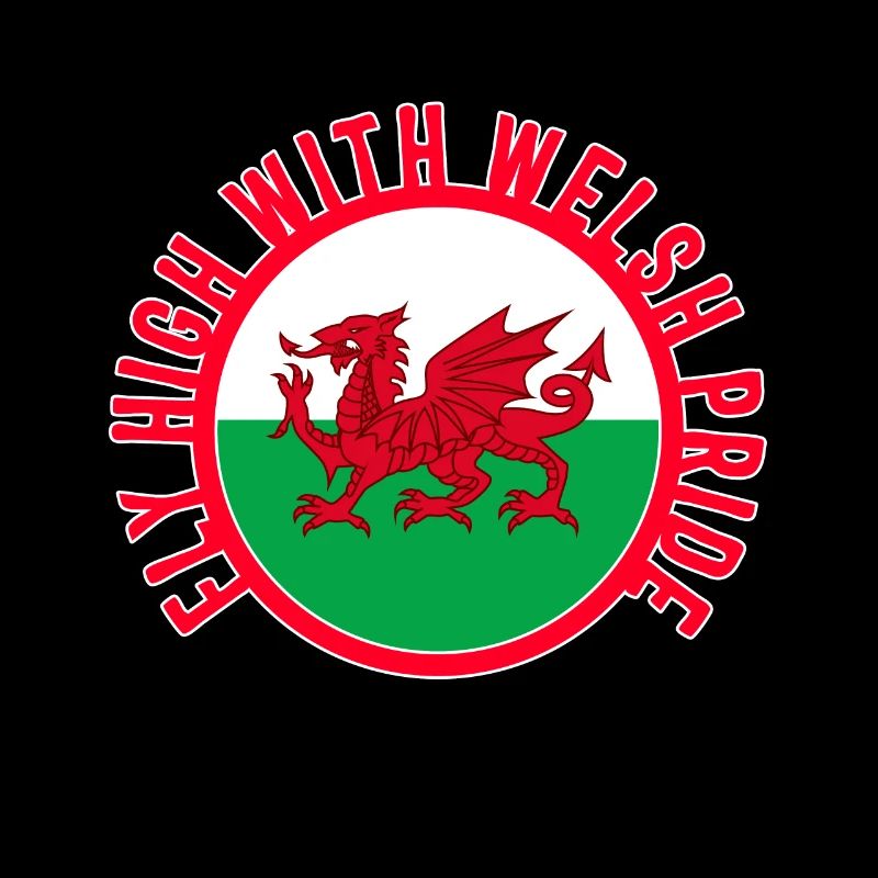 Wales Shirt, Fly High With Welsh Pride Tee, Gift
