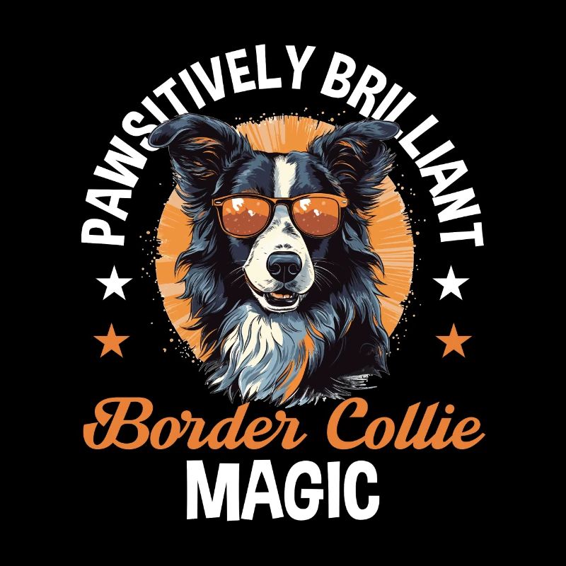 Border Collie Dog Border Collie Magic