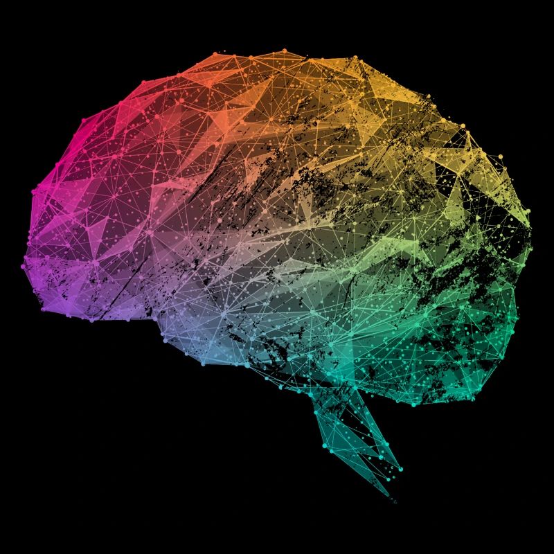 Brain Aesthetic Geometric Brain Map Impulses Neuro