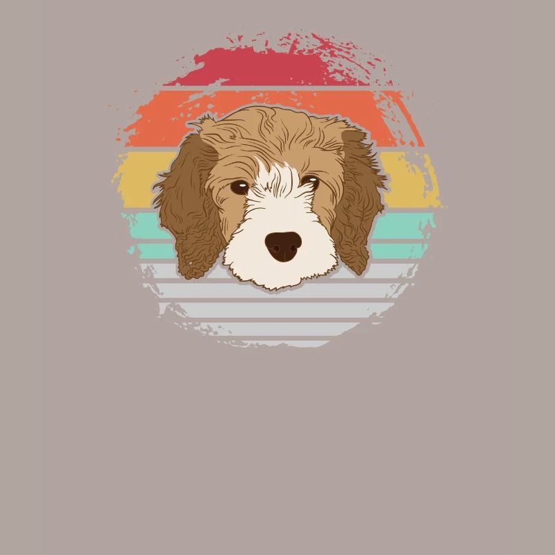 Cavapoo dog