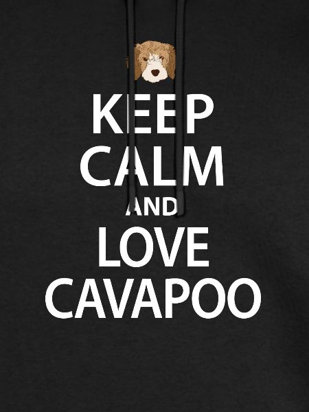 Cavapoo Hund