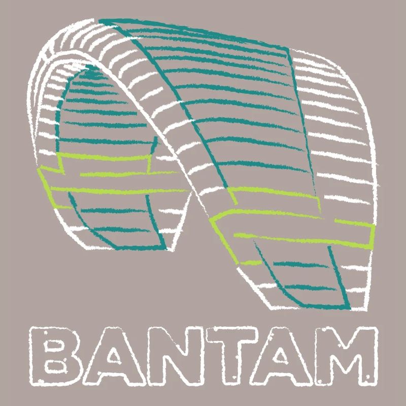 Bantam Nova Paraglider