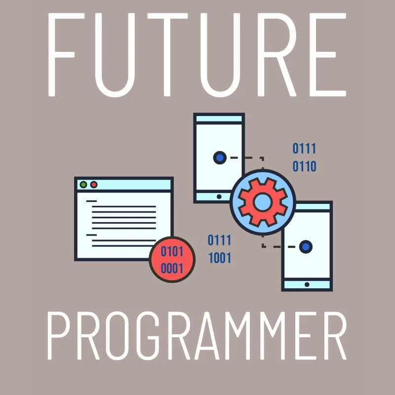 Programmeur Programmation Ordinateur Développeur Pc