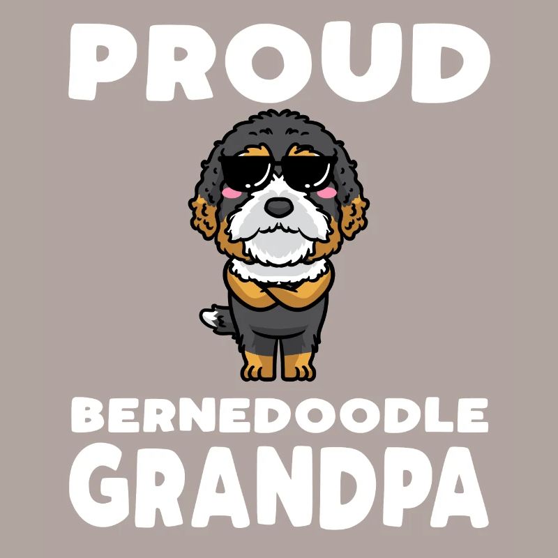 Bernedoodle Hund