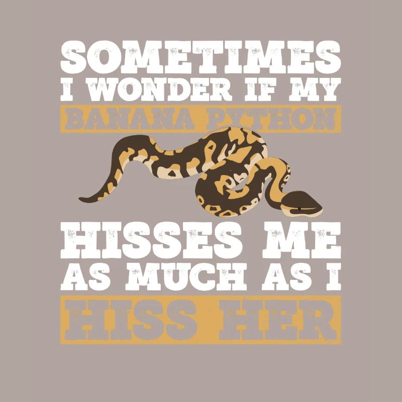 Bananenkugel Python Königsphython