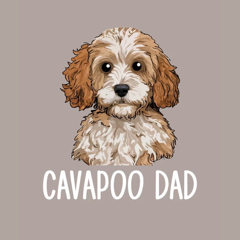 Cavapoo Papa, Cavapoo