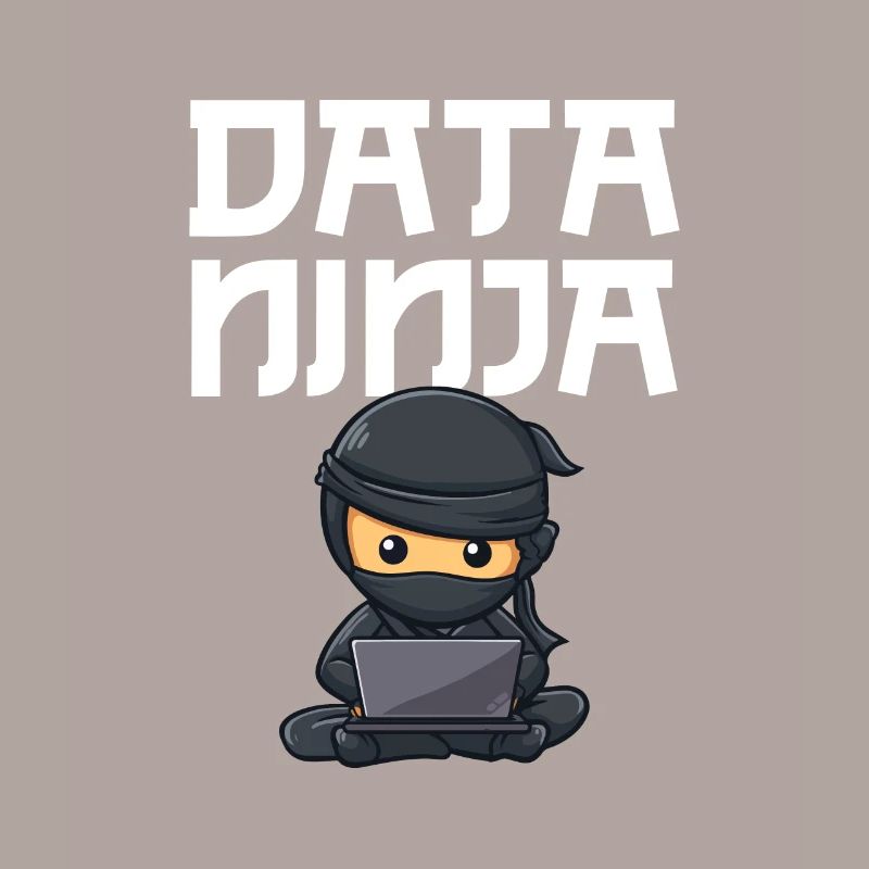 Data ninja data scientist