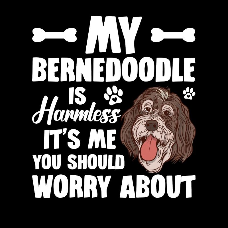 Mein Bernedoodle Ist Harmlos, Um Mich Solltest Du