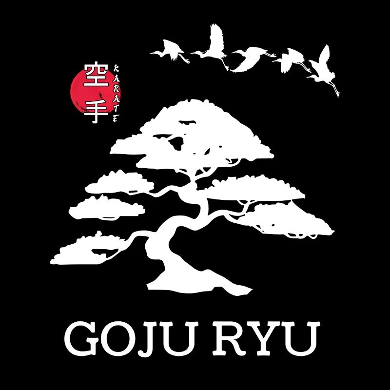 Goju Ryu Karate Best Kampfkunst Seit 1930