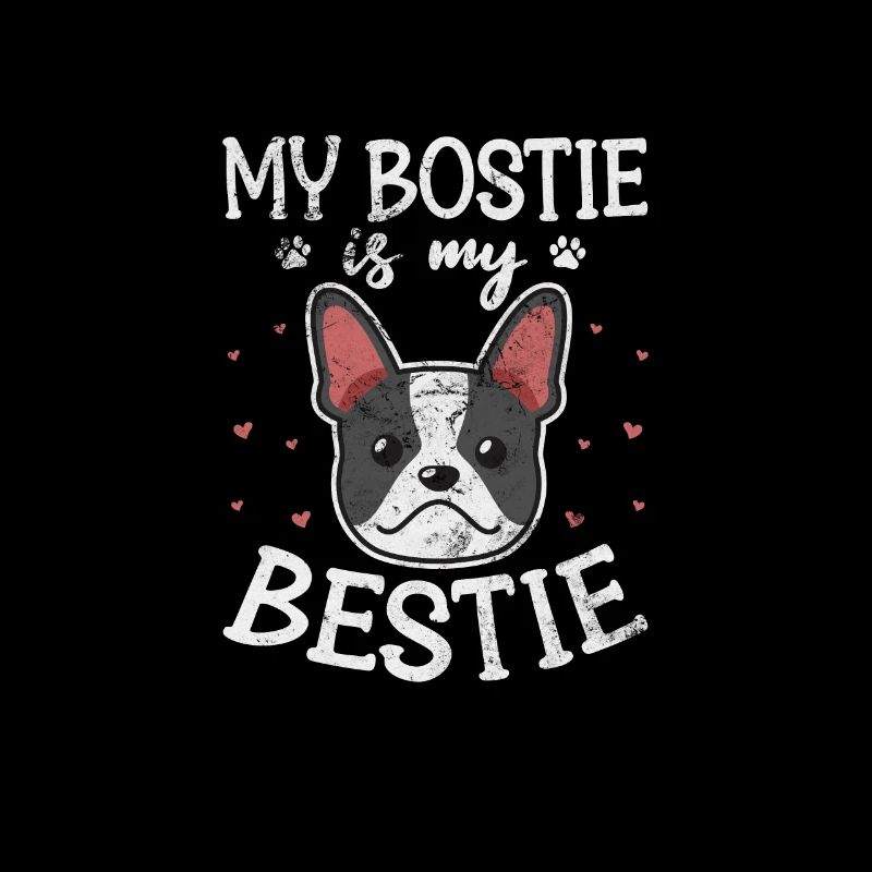 Boston Terrier