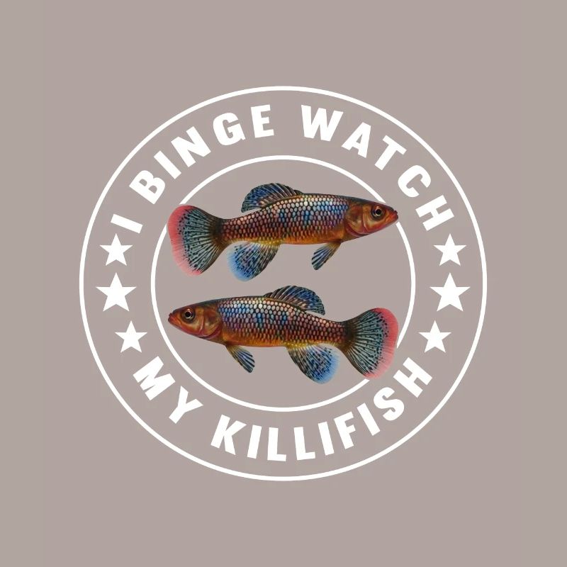 Killifish Quarium Fish