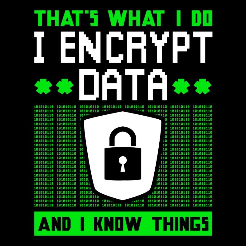 Encrypt cyber security data code