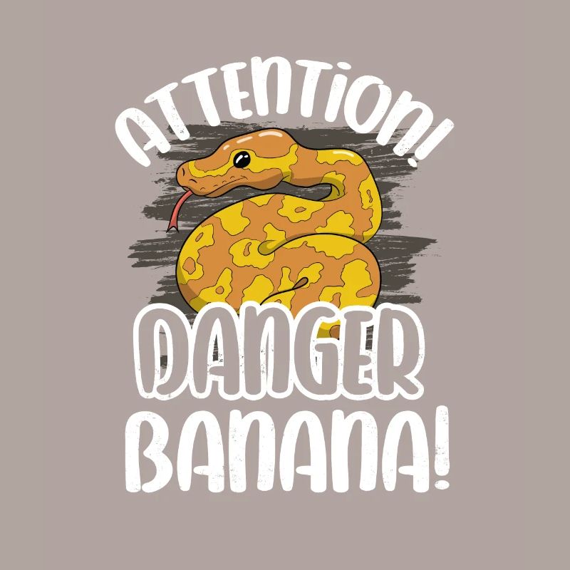 Banana Ball Python Herpetologist Attention Danger