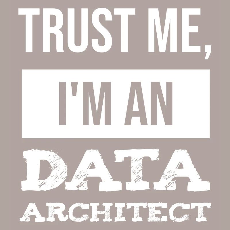 Data Architect Datentechniker IT Informatik