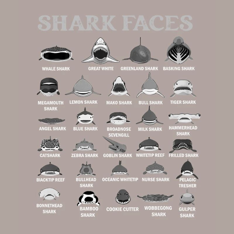 Types de visages de requin. Identification du visage du requin