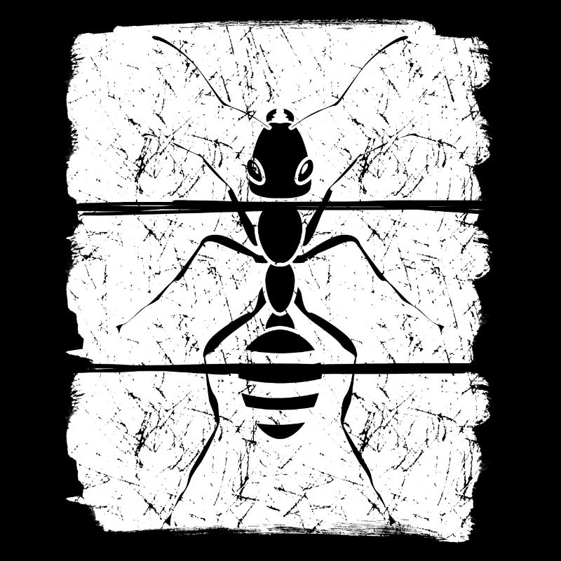 Ants Anthill Ant