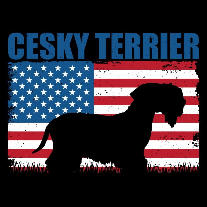 Cesky Terrier Chien - Cesky Terrier