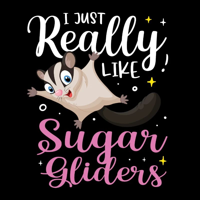Sugar Glider Flughörnchen