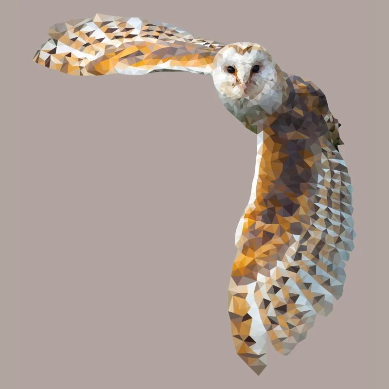 Eule Schleiereule Low Poly rothaarig