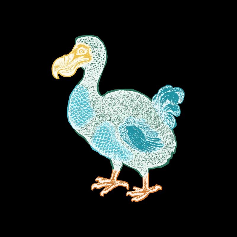 Dodo etching white with color blocks