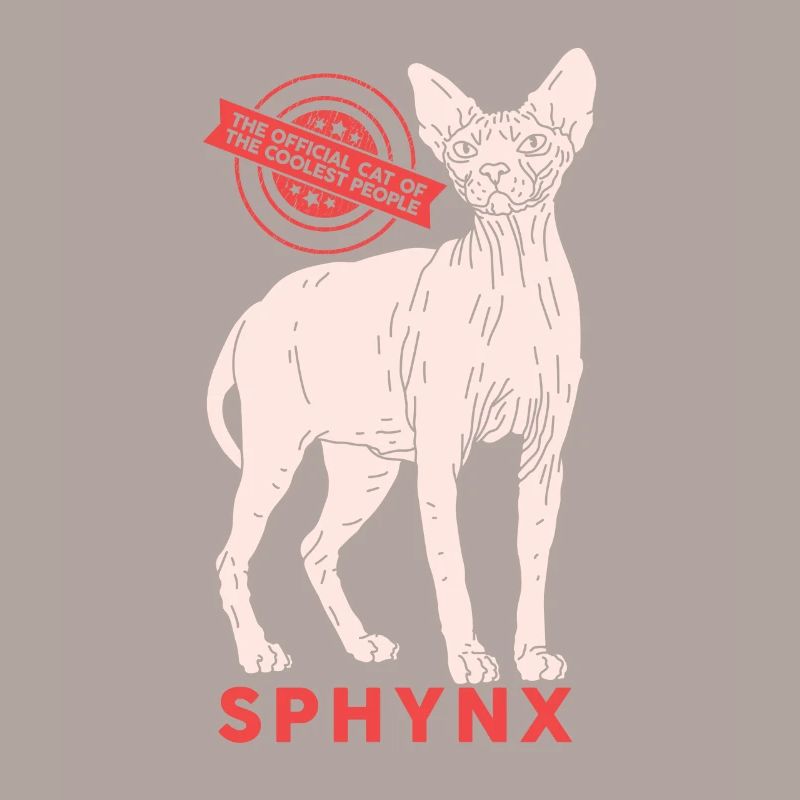 Sphynx chat sphinx cadeau de chat