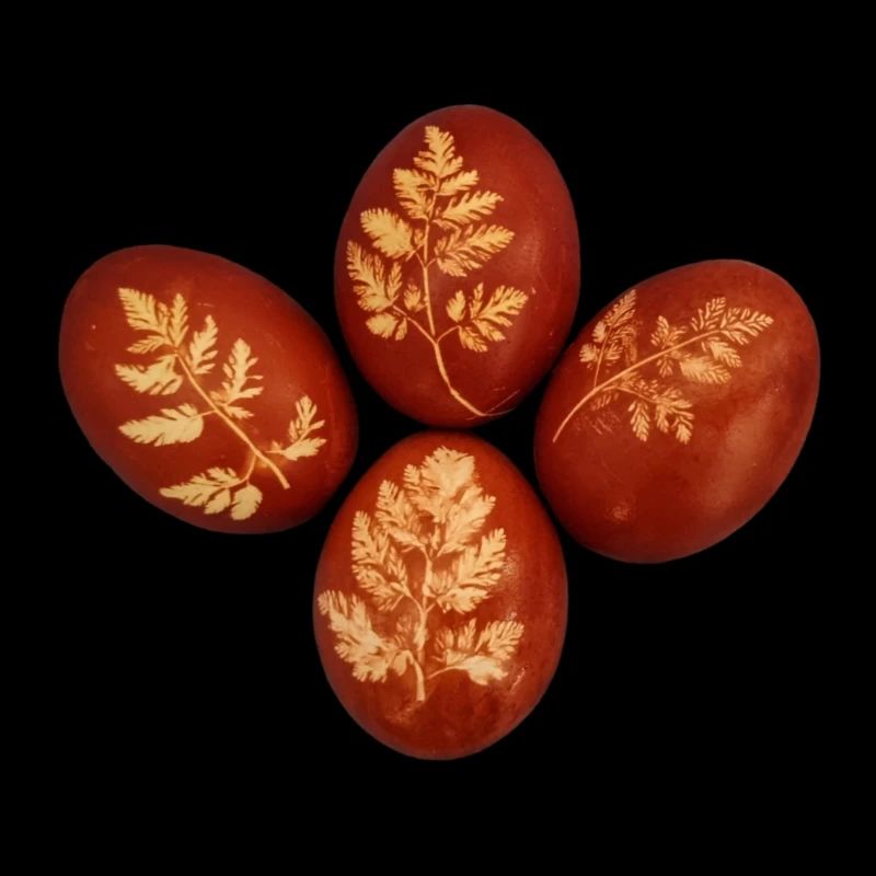 Couleurs naturelles avec pelures d’oignon