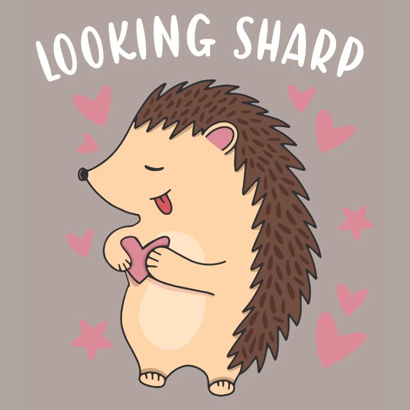 Hedgie Looking Sharp Hedgehog
