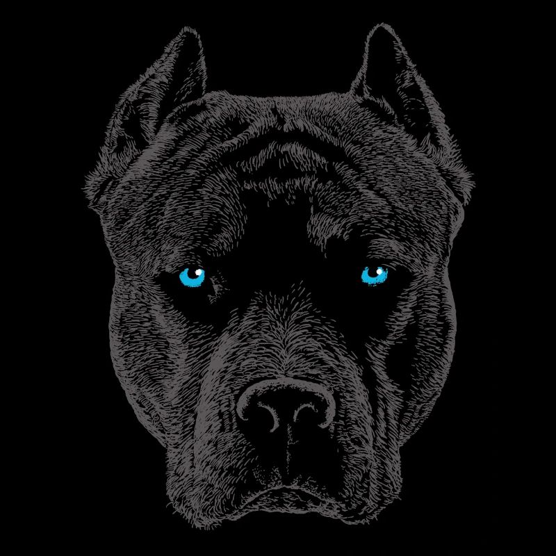Pit bull 12 2018 3