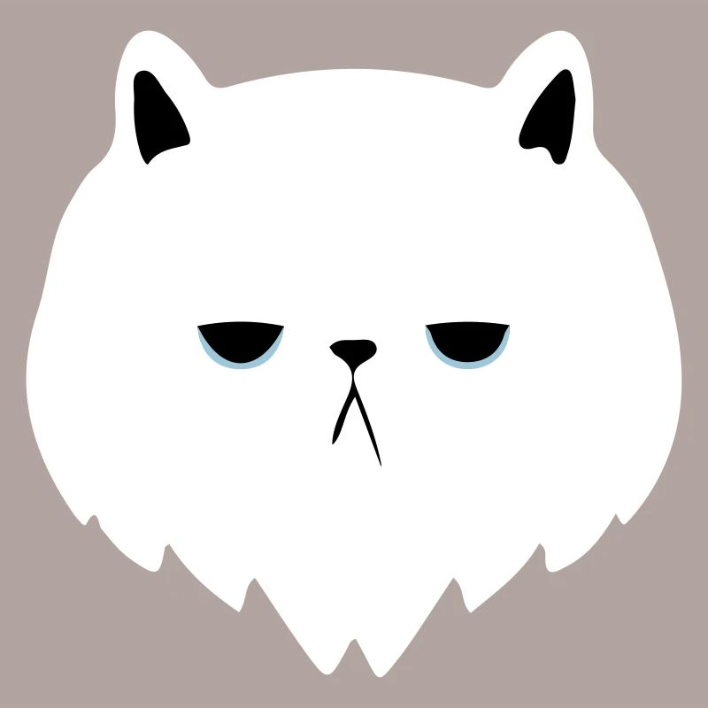bored cat