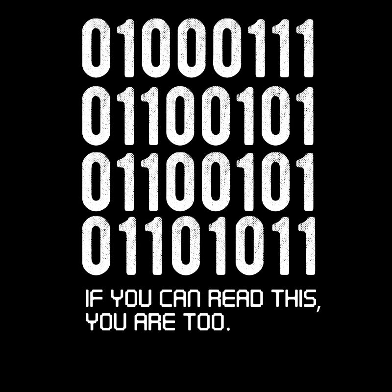 Funny Softaware developer gift, binary funny,