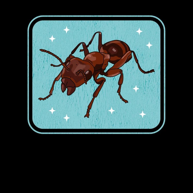 Fourmis Ferme Fourmi Formicarium Cadeau