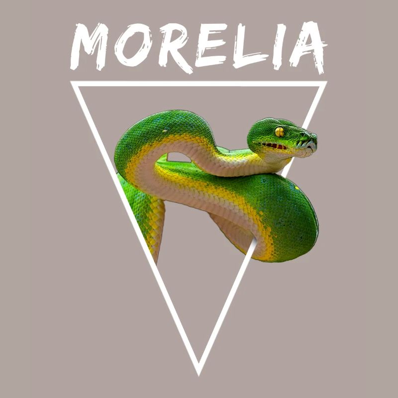 Arbre vert Python Morelia Viridis Propriétaire de serpent