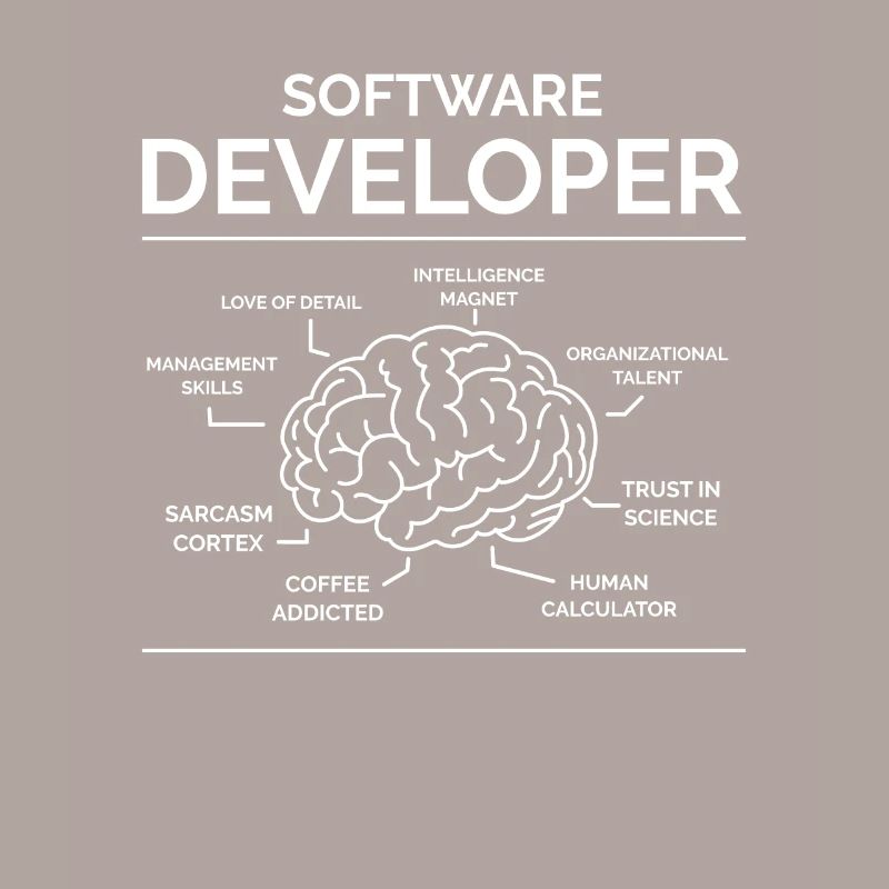 Software Developer