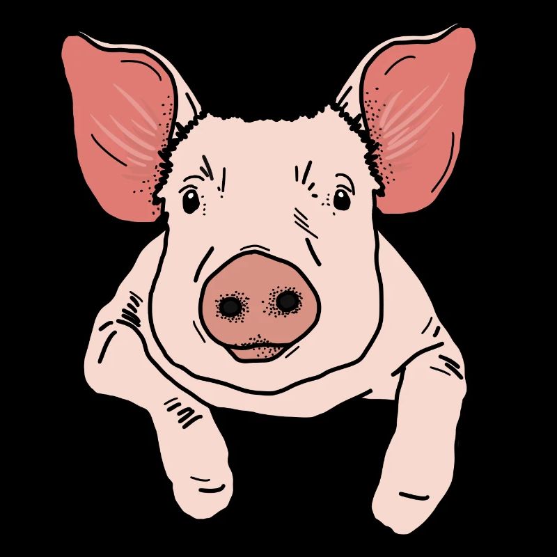 Pig head