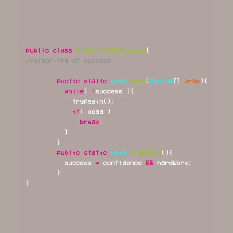 Algorithme De Succès - Codeur - Informaticien