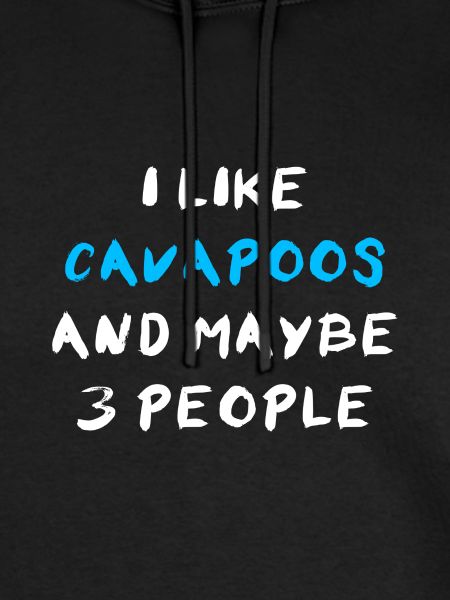 Cavapoo Cavoodle