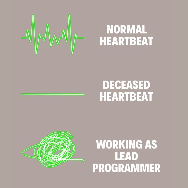 Lead Programmer Worker Funny Programmer