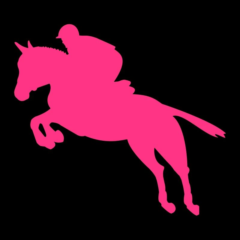 Pferd Springreiten Reiter