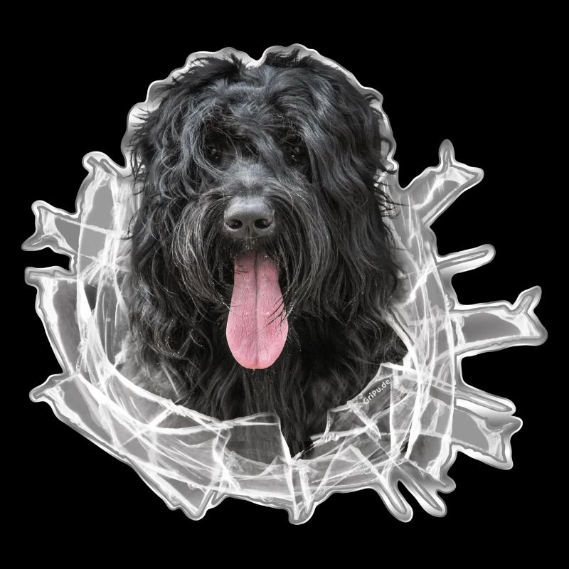 RussischerSchwarzerTerrier Glas