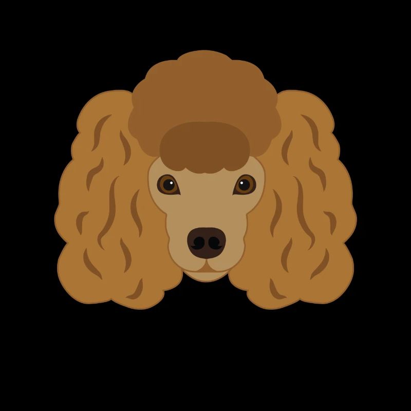 caniche Brown