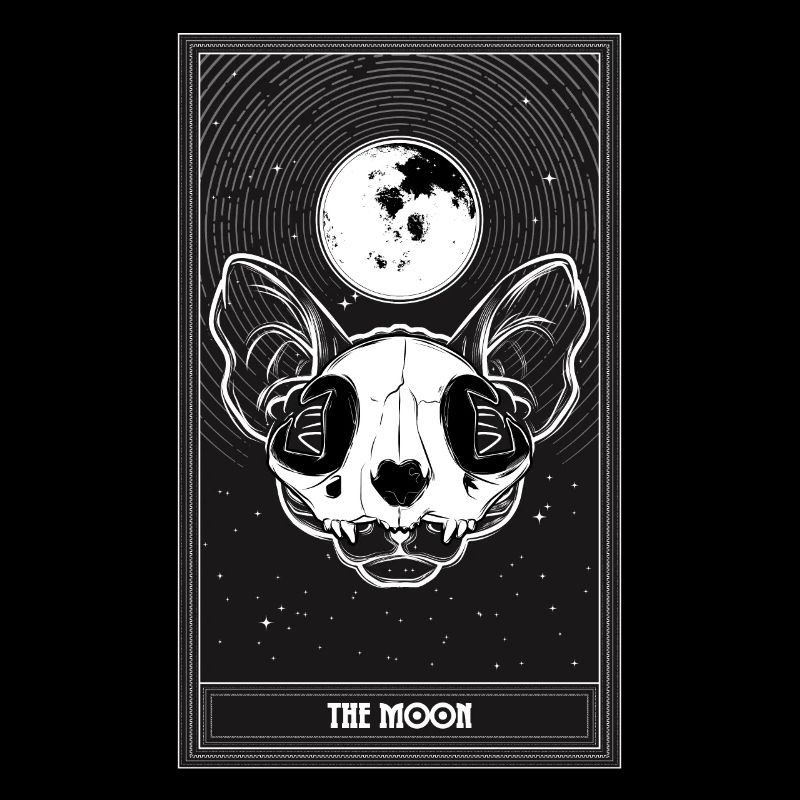The Moon
