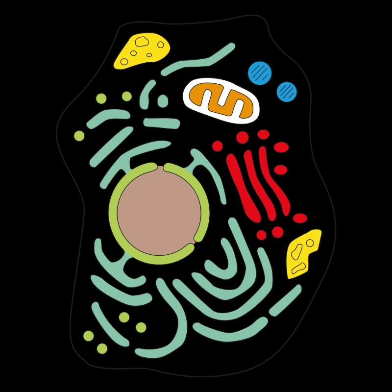 Cell