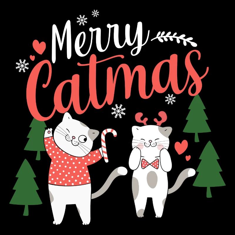 Cadeau de Noël de chat joyeux chat