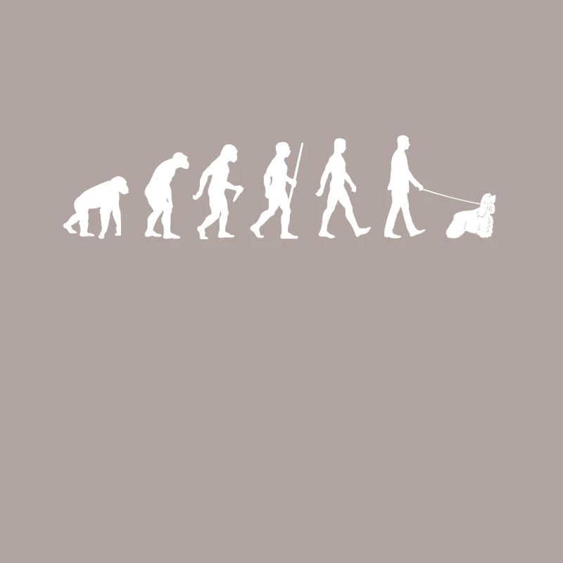 Evolution American Cocker Spaniel Walker