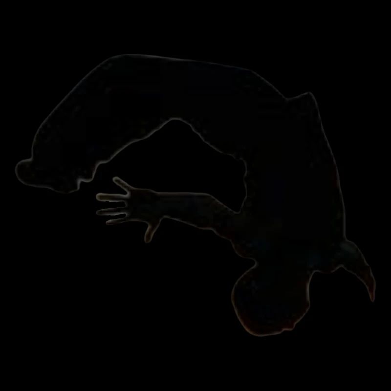 Backflip - Salto arrière