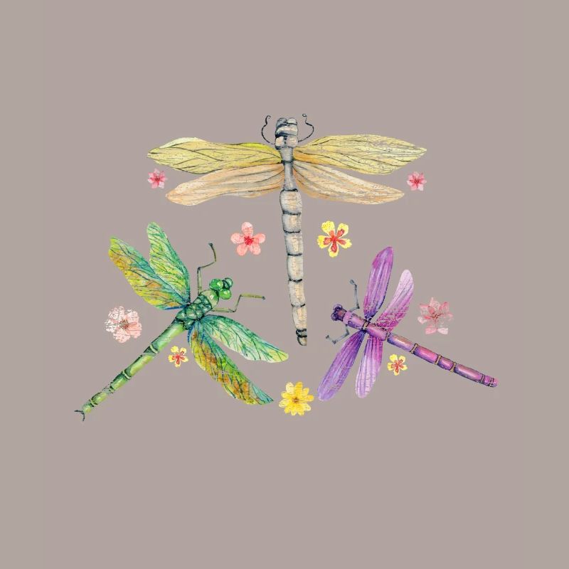Voleur de libellule